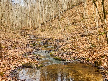 Property for sale in Claiborne County, Tennessee