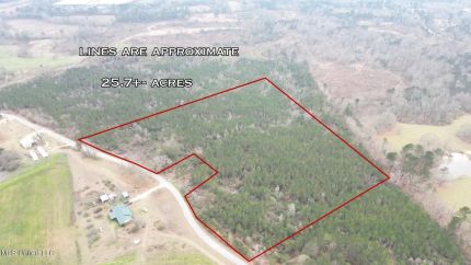 Property for sale in Simpson County, Mississippi