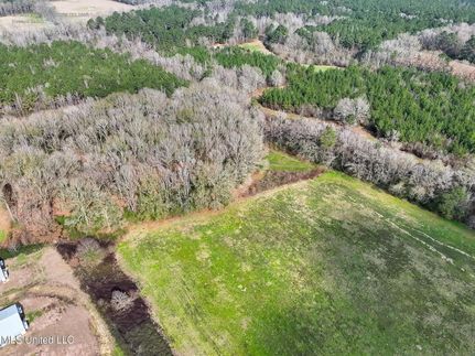 Farm Property for sale in Amite County, Mississippi