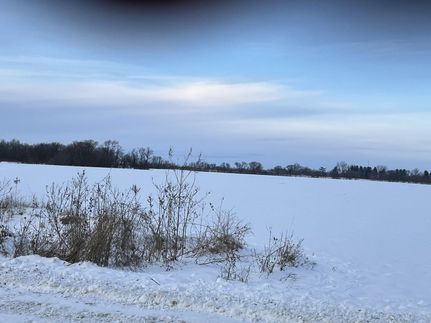 Farm Property for sale in Scott County, Iowa