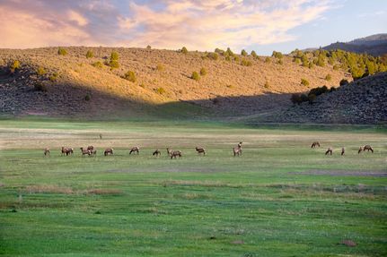 Property for sale in Rio Blanco County, Colorado