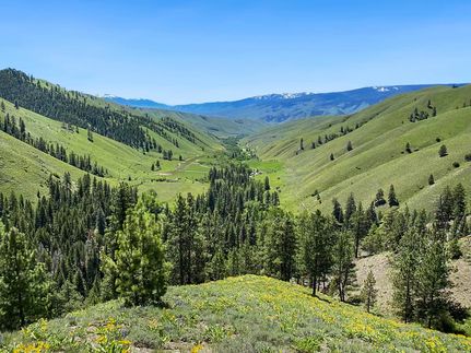 Property for sale in Lemhi County, Idaho