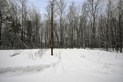 Property for sale in Washburn County, Wisconsin