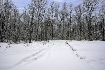 Undeveloped Land for sale in Washburn County, Wisconsin