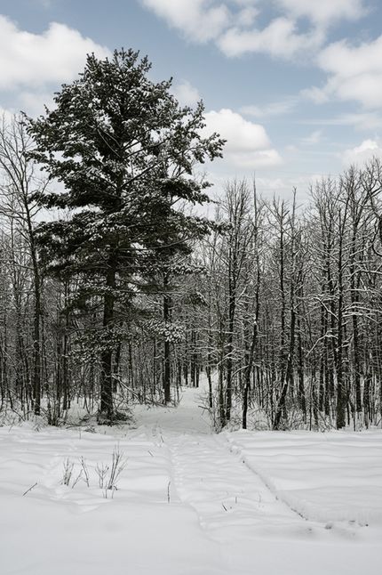 Recreational Property for sale in Washburn County, Wisconsin