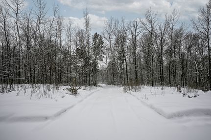 Undeveloped Land for sale in Washburn County, Wisconsin