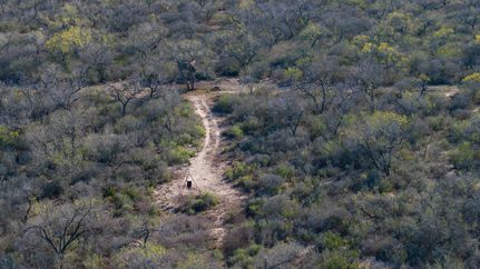 Hunting Land for sale in Atascosa County, Texas