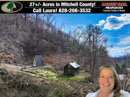 Undeveloped Land for sale in Mitchell County, North Carolina