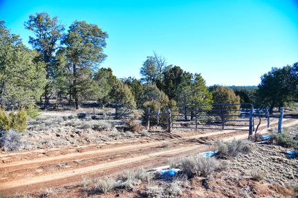 Hunting Land for sale in Cibola County, New Mexico