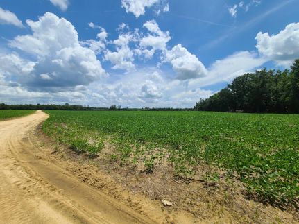 Property for sale in Dillon County, South Carolina