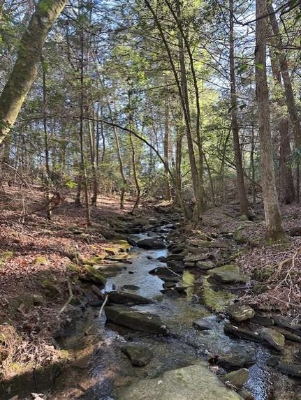Property for sale in Grundy County, Tennessee