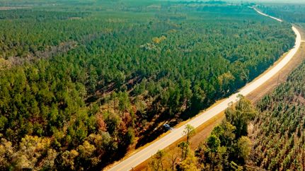 Hunting Land for sale in Laurens County, Georgia