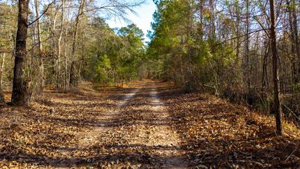 Property for sale in Clarendon County, South Carolina