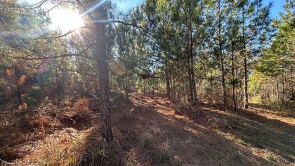 Property for sale in Burke County, Georgia