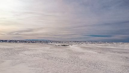 Hunting Land for sale in Phillips County, Montana