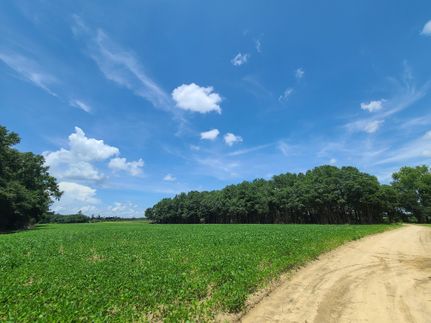 Horse Property for sale in Dillon County, South Carolina