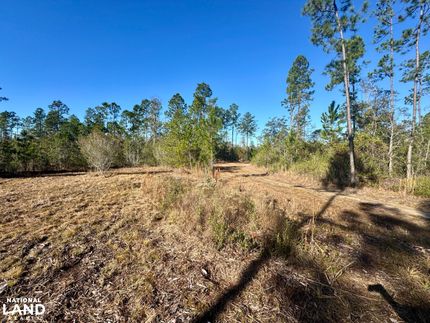 Property for sale in Washington County, Alabama