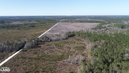 Farm Property for sale in Wayne County, Georgia