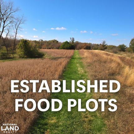 Property for sale in Appanoose County, Iowa