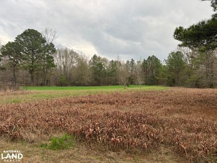 Property in Hale County, Alabama