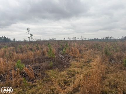 Property for sale in Pickens County, Alabama