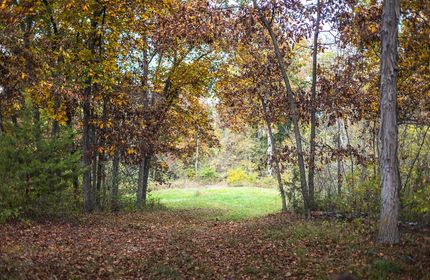 Farm Property for sale in Adair County, Missouri
