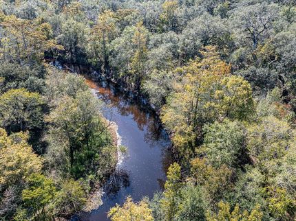 Timberland Property for sale in Hernando County, Florida