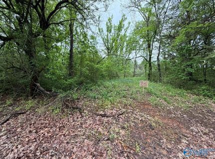 Property for sale in Lawrence County, Alabama