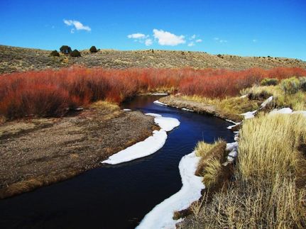 Property for sale in Costilla County, Colorado