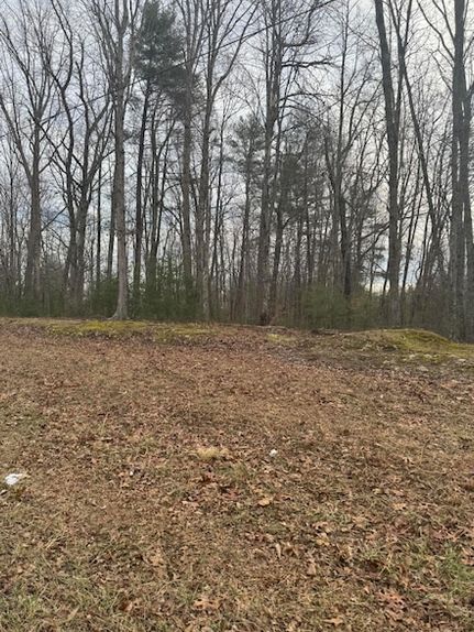 Undeveloped Land for sale in Franklin County, Virginia