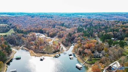 Waterfront Property for sale in Walker County, Alabama