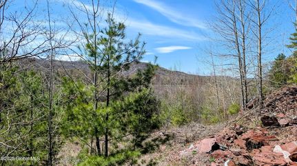 Lakefront Property for sale in Washington County, New York