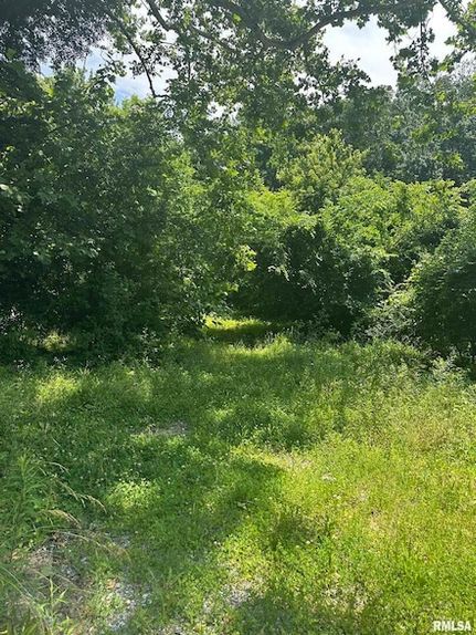 Undeveloped Land for sale in Union County, Illinois