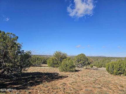 Undeveloped Land for sale in Navajo County, Arizona
