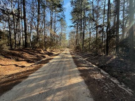 Hunting Land for sale in Winn Parish, Louisiana