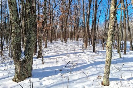 Recreational Property for sale in Washburn County, Wisconsin