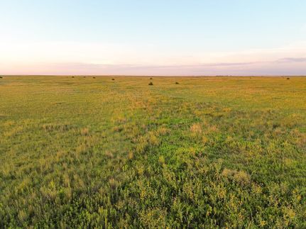 Hunting Land for sale in Pawnee County, Kansas