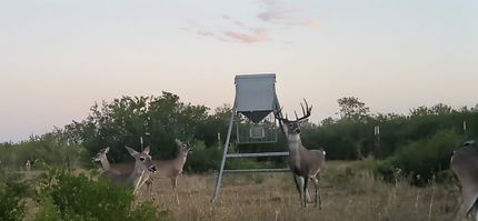 Property for sale in Duval County, Texas