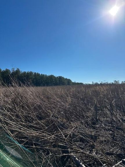 Property for sale in Grundy County, Tennessee