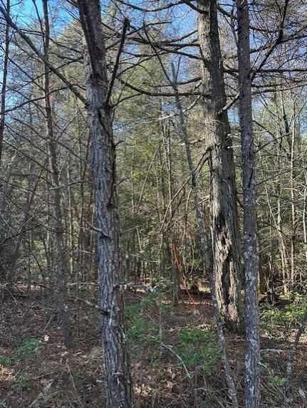 Property for sale in Grundy County, Tennessee