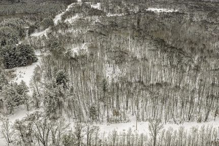 Hunting Land for sale in Washburn County, Wisconsin