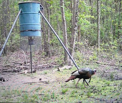 Property for sale in Bowie County, Texas