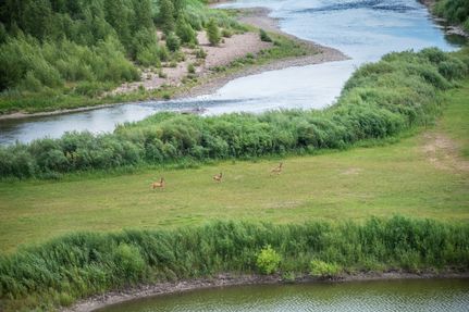 Residential Property for sale in Routt County, Colorado