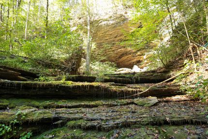 Hunting Land for sale in Overton County, Tennessee