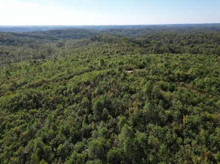 Hunting Land for sale in Laurel County, Kentucky