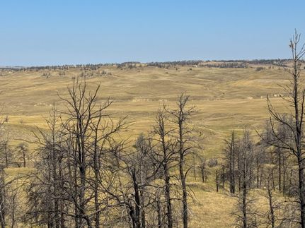 Hunting Land for sale in Treasure County, Montana