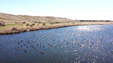 Property for sale in Logan County, Colorado