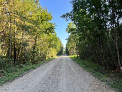 Undeveloped Land for sale in Ascension Parish, Louisiana
