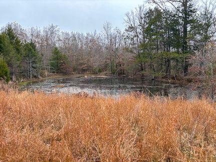 Property for sale in Ozark County, Missouri