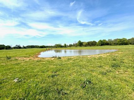 Undeveloped Land for sale in Butler County, Alabama